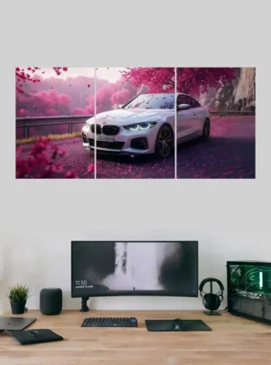 BMW Car Split Poster