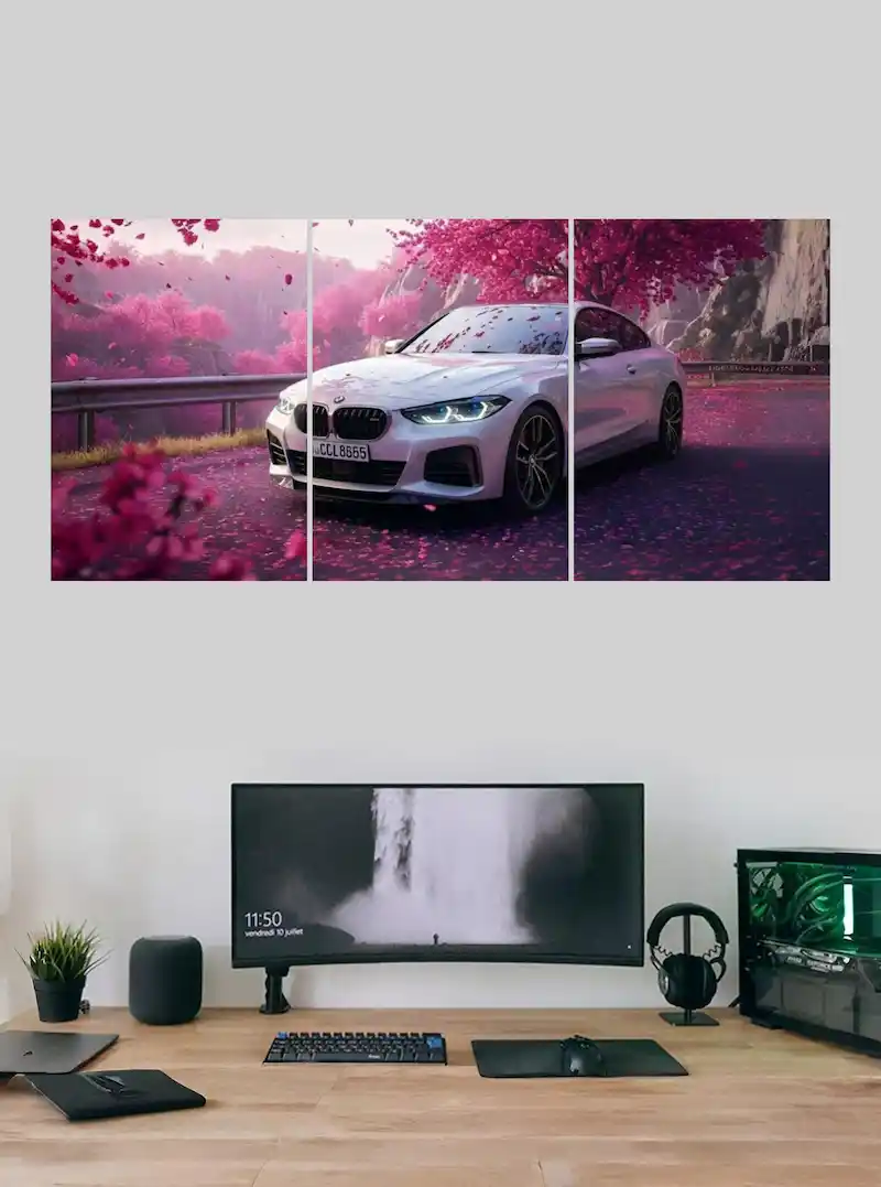 BMW Car Split Poster